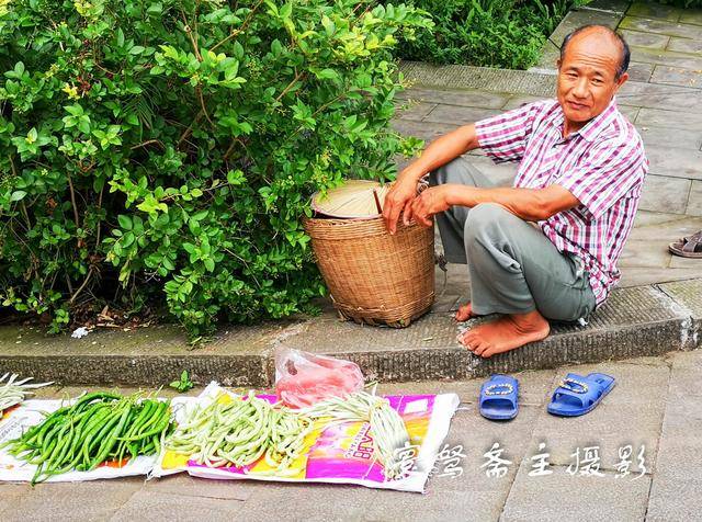 荣昌有多少人口_重庆荣昌有什么特产(3)