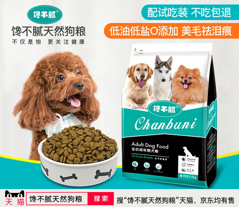 孩子|要注意以下五点，家长须知！让狗狗陪伴孩子成长