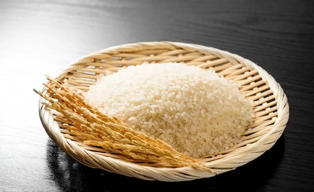 Kaiyun 开云体育日本休闲农业好在哪？对我国有何借鉴意义？(图3)