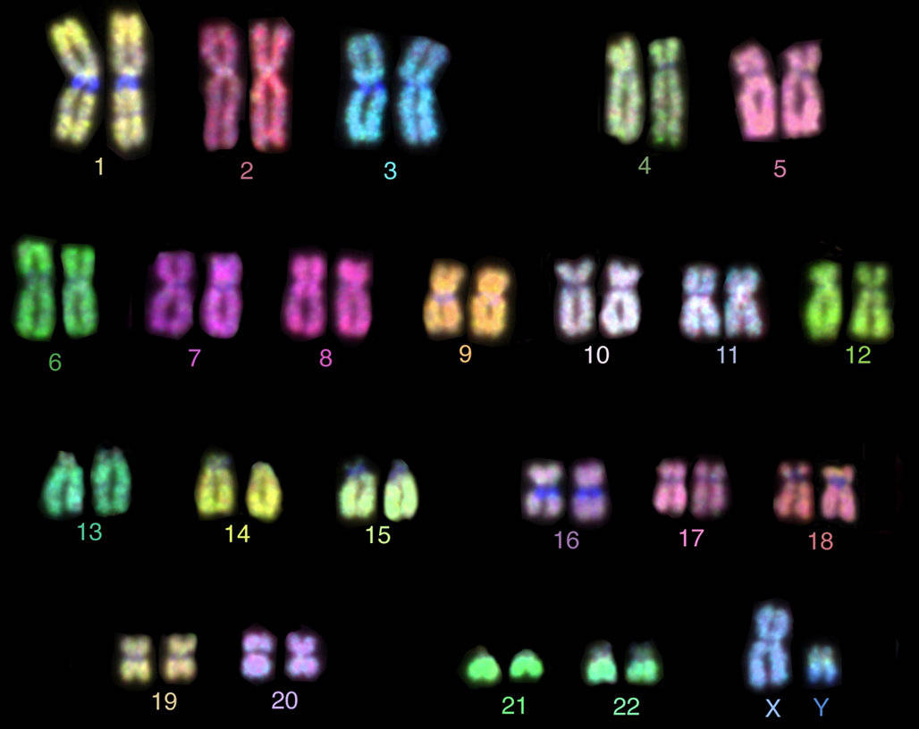 什么是基因隔离 fc5c4926e51449d188dc1af525cd7eb6.jpeg