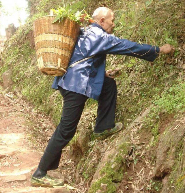 苗族医药的智慧——苗医药(癫痫症疗法)