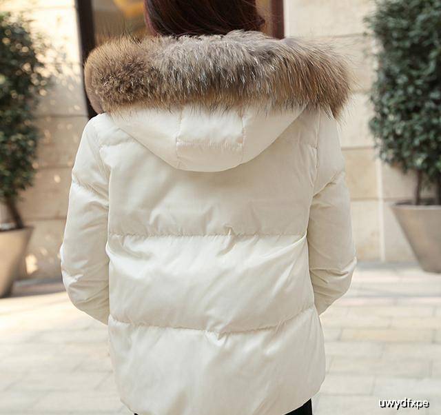 高品质羽绒服小个子短款 164cd07650aa40189a84656f2b52e595.jpeg