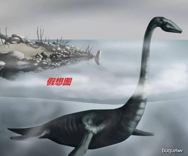 160d5e8c096e4b68ada1fb59e73857b6.jpeg
