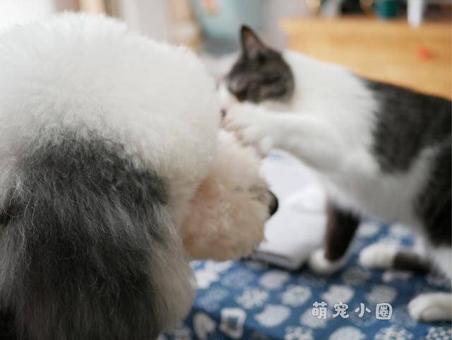 3da721663bc54b63a02a48d4d682f193.jpeg