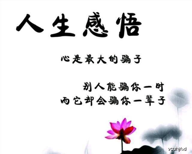 佛系人生感悟100条 b4764623be7f4f0d8ba0a51c3e20fea0.jpeg