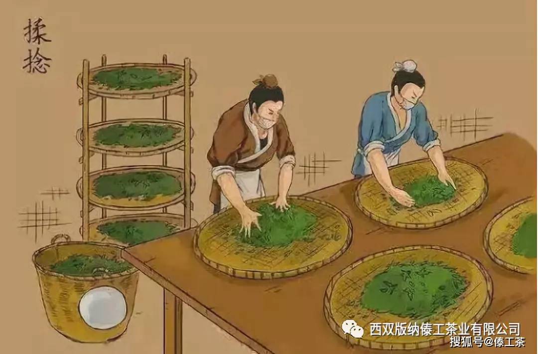 傣工茶 普洱茶生产工艺_茶叶