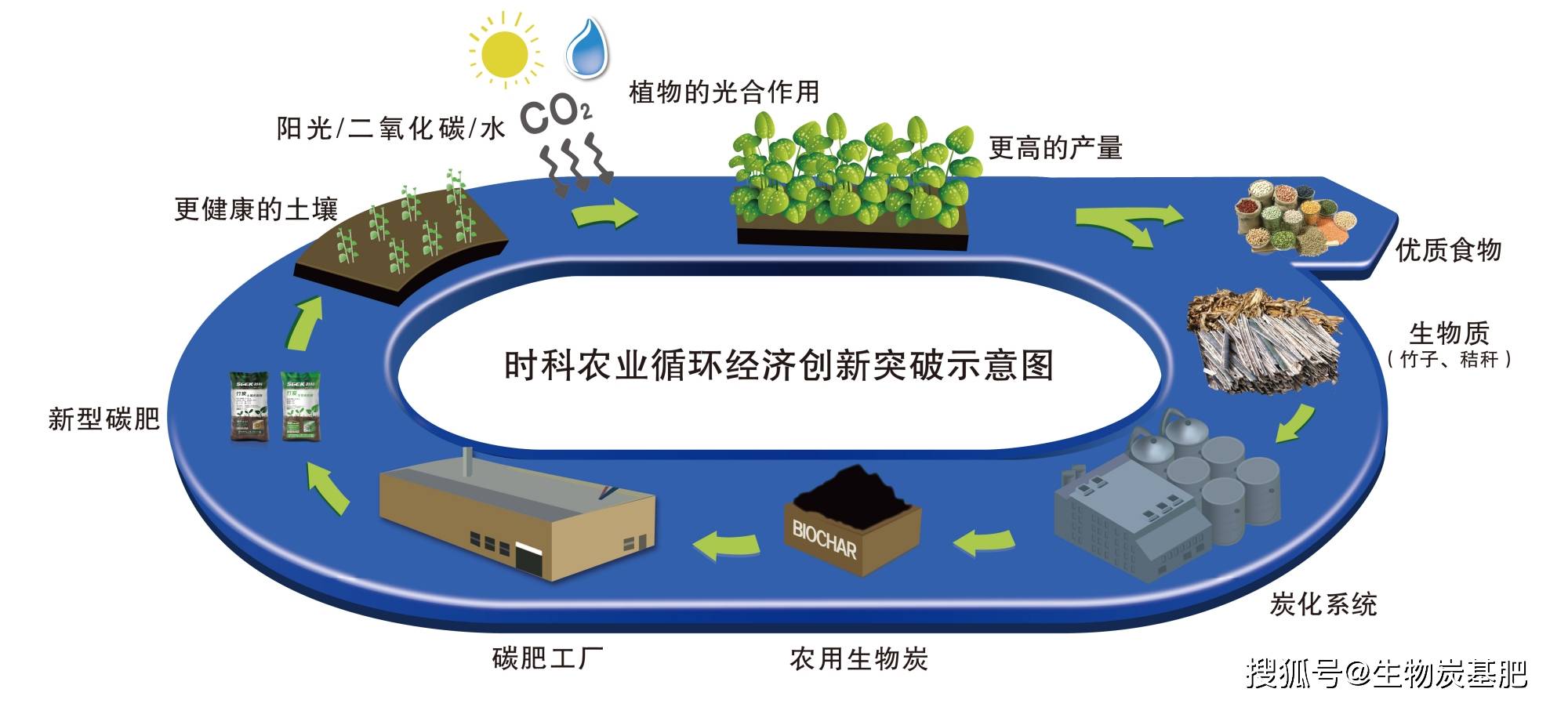 林启美专访:生物炭或将成为土壤中不可缺少的组分?