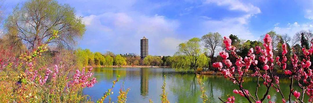 视频|北京大学2020年微软电子信息专业考研经验分享