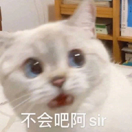 74d4de613b9647eb9a60fd0c4ddee0a0.jpeg