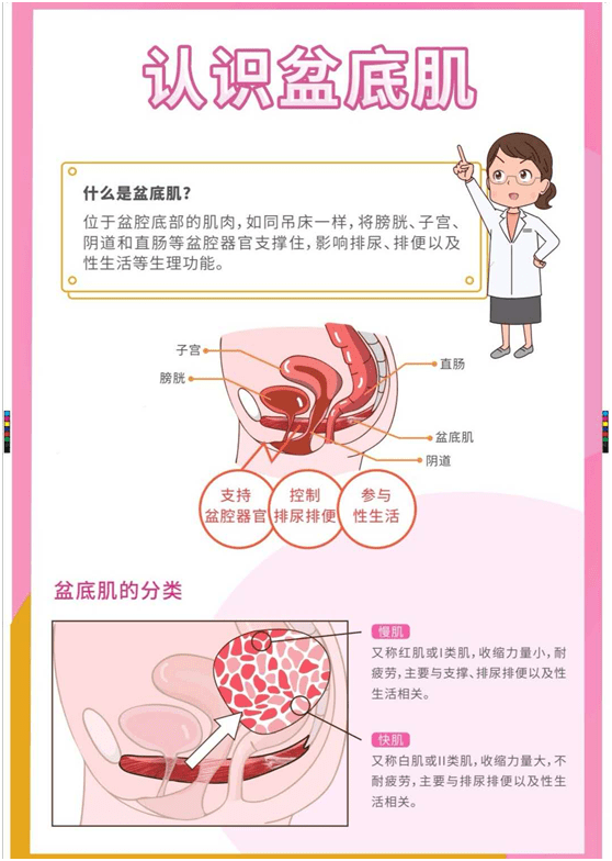 关爱妈妈从盆底康复开始