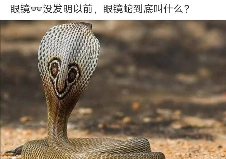 哈哈哈哈.网友们真的是太有才了,没错就是大长虫!