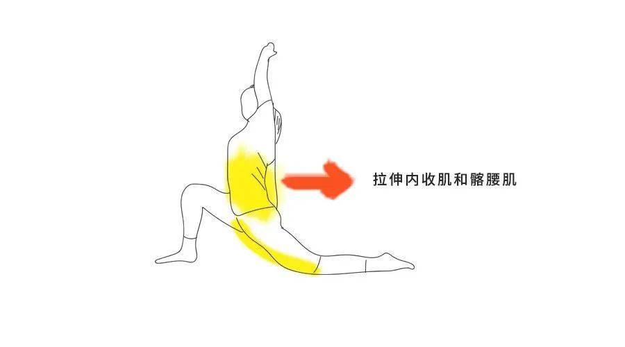 接下来是外旋外展肌的练习