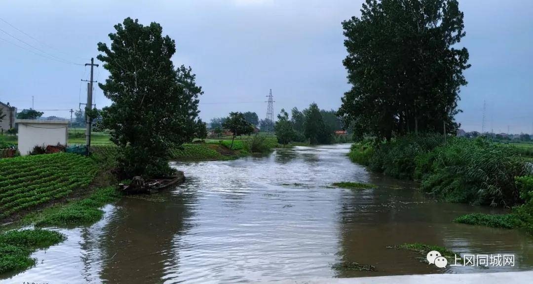 建湖县上冈一夜暴雨,河水上涨