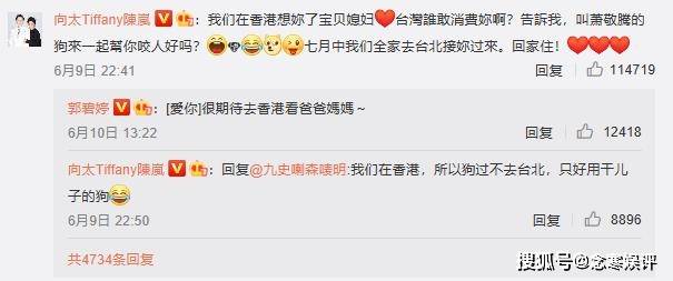 『向太』向太发文解释原因,参加心灵分享会所致,郭碧婷疑患上孕期焦虑症