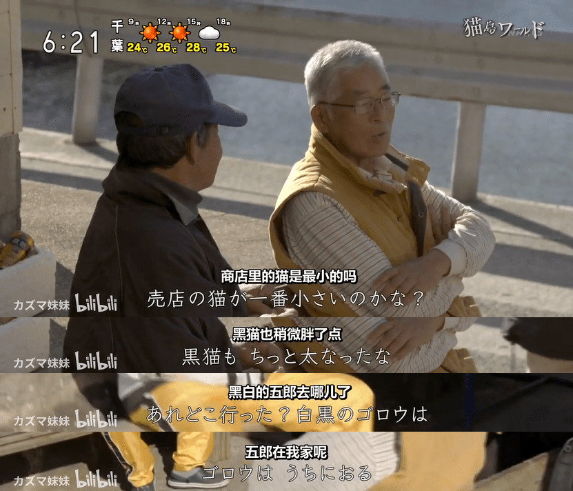 生活|吸了200只猫!”“我在一座与世隔绝的岛上