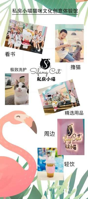 宠物|猫咪洗护到底赚不赚钱?-猎宠学院