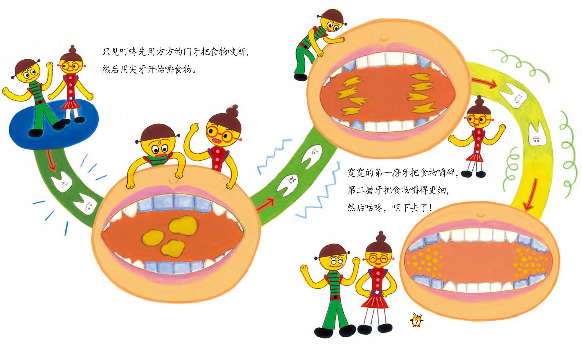 儿童绘本故事推荐《牙齿的秘密》