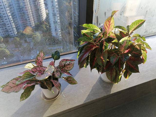 天恒量子低频磁能活水宝，好水质决定好体质，关爱生命呵护健康
