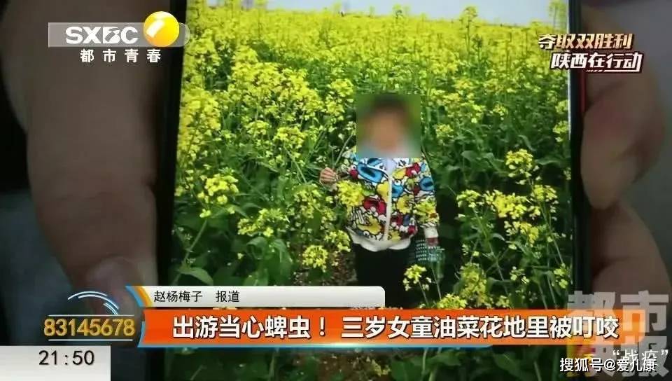 脖子|3岁女宝脖子多个小黑点！家长仔细一瞅，魂都吓掉了……油菜花里转一圈
