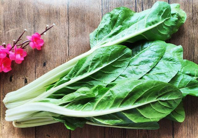 牛皮菜又叫厚皮菜,是比较常见食用叶菜.