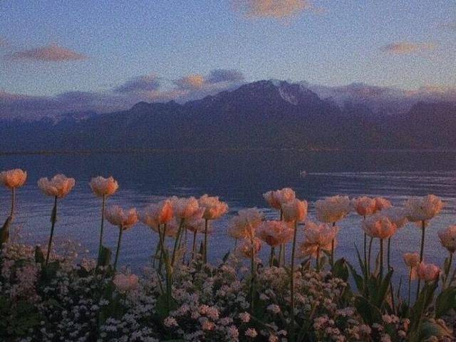 a751a8c1f9b34efbb26f55c7e983bdf2.jpeg