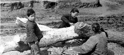 1942年河南饥荒真实情况惨不忍睹,吃草吃土吃人,饿死病死被吃