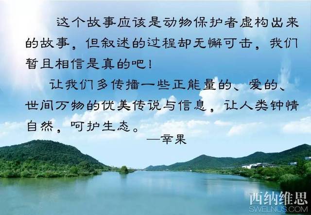 ca8cd96377594d05bf2d903f83c7558a.jpeg