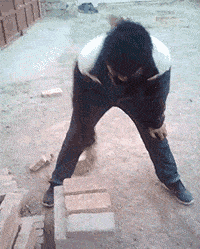 小伙子这铁砂掌真不是盖的,这要练多少年才达到这效果,不知道痛不痛