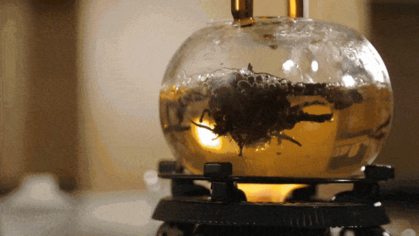 收藏版|6大茶类最佳出汤时间！收藏版