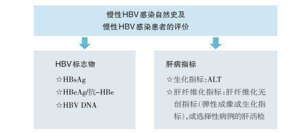 中药观察对照中药，延长周期HBVDNA阴转增多乙肝恩替卡韦6周试验