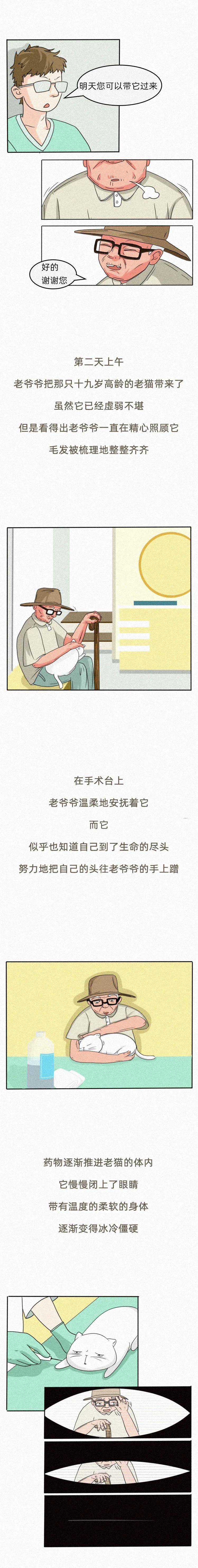 "那一刻,我决定给我的老猫做安乐死…"_漫画