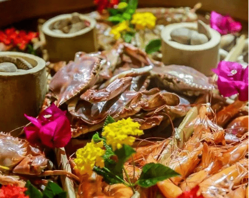 打造幸福五养公社 | 三门县蛇蟠岛千吉莱城乡融合发展典型项目