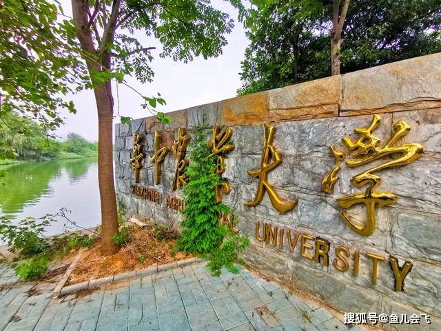 大学|华中农业大学、中南财经政法大学两所211高校2020年招生人数定了!