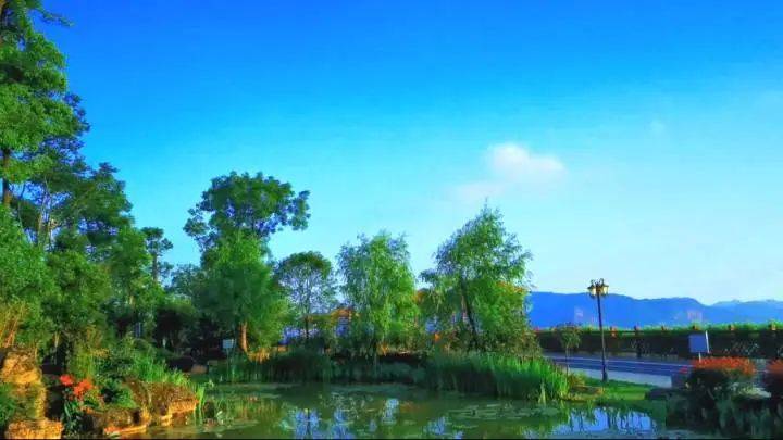 “我爱我家”作品大赛投票环节即将开启 万余元现金大奖等你拿