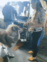 原创搞笑gif趣图:男人嘛,就得凶一点,对吧?