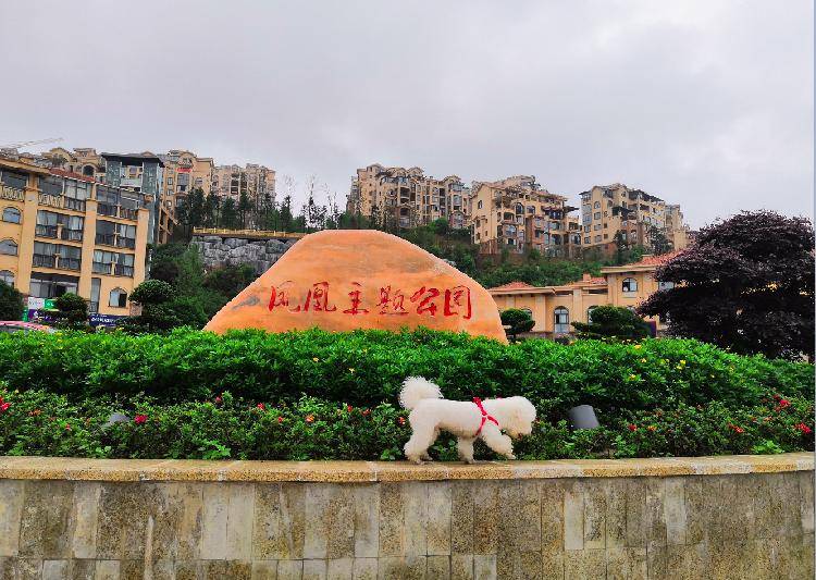 “我爱我家”作品大赛投票环节即将开启 万余元现金大奖等你拿