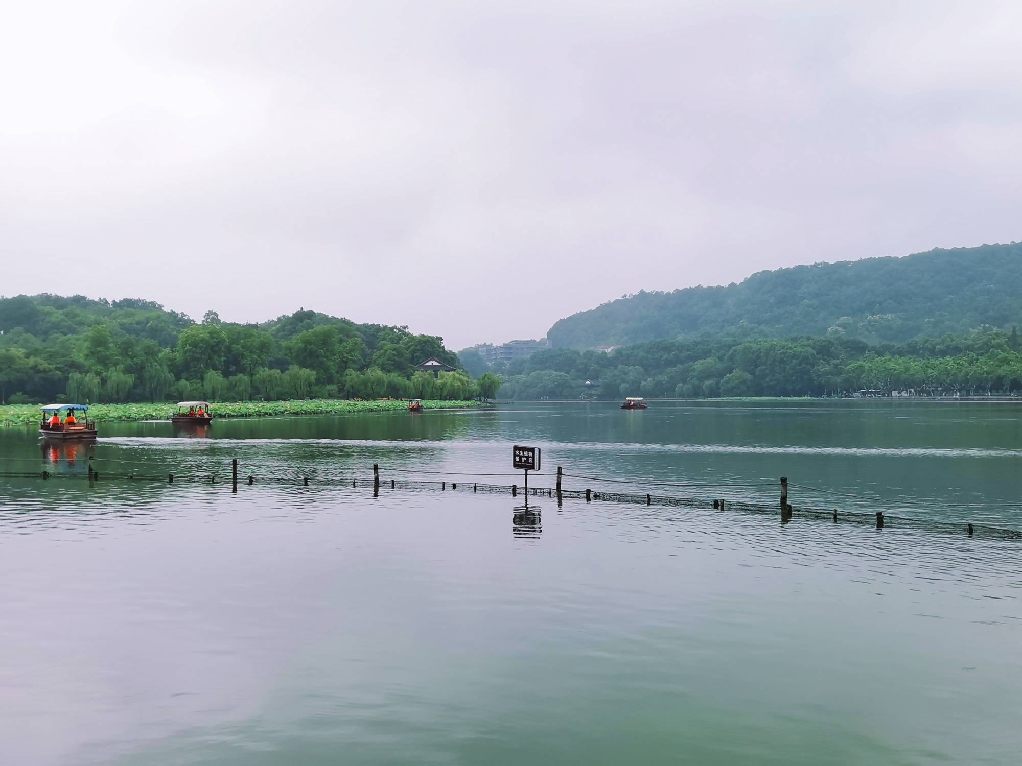 原创西湖边上的野趣秘境:景致幽游人少,公交直达没门票