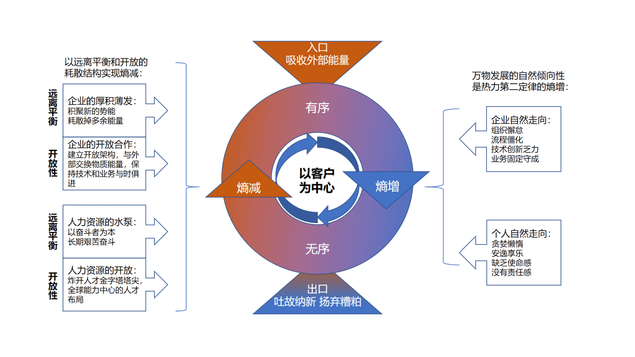 华为的"熵减"之路
