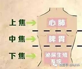 三焦经千万不能堵这里堵了损寿20年