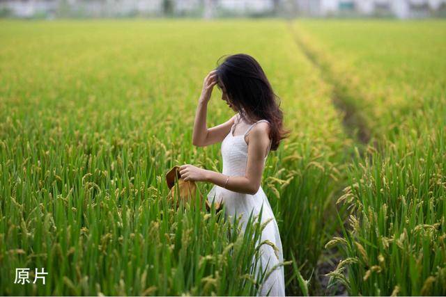 色调|探图摄影师专栏｜如何调整出一张“色调较强的低饱和”照片