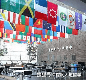 实习|毕业不用写论文毕业后居然还有三年OPT？罗彻斯特大学MKT就读体验