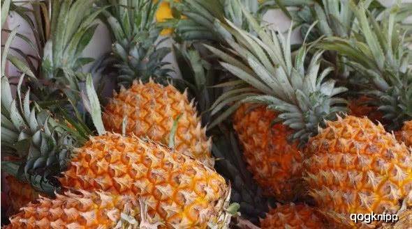 菠萝怎么吃最方便 2ee60e928de34f7398d968d6aaaa09da.jpeg