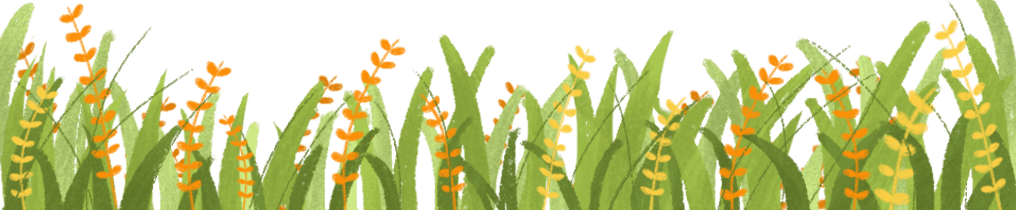 美国|回国上网课还是留美上面授，如何决定？