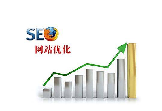 速渡网络：seo优化对网站有多重要，看看这里就知道。