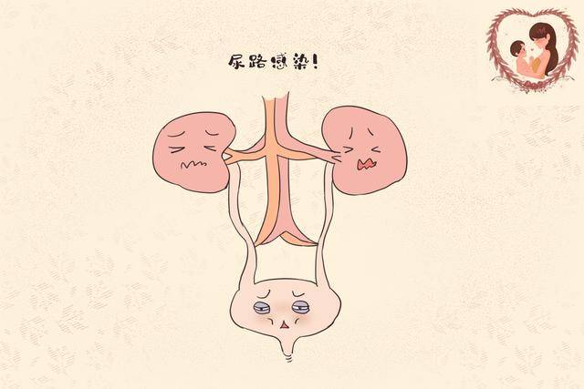 原创尿路感染引发的高烧,请看好时机将宝宝送医,别傻傻在家等自愈