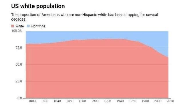 美国白人人口比例_美国人口结构大变化 白人比例跌破6成 亚裔人口增速最快