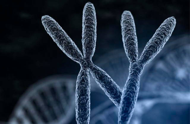 疾病|哪些病最具有遗传性?医生说:父母有这5种疾病时,容易连累孩子