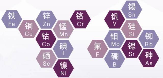 一分钟教你看懂 | 人体中的微量元素_手机搜狐网