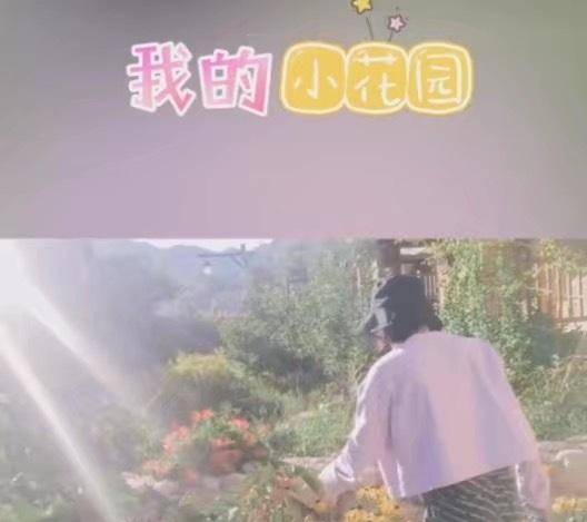 苗苗意外透露孩子性别？宅家养胎自曝爱吃酸，