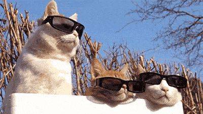 工作|想出国，是毕业就申请，还是先工作一段时间再申请比较好？